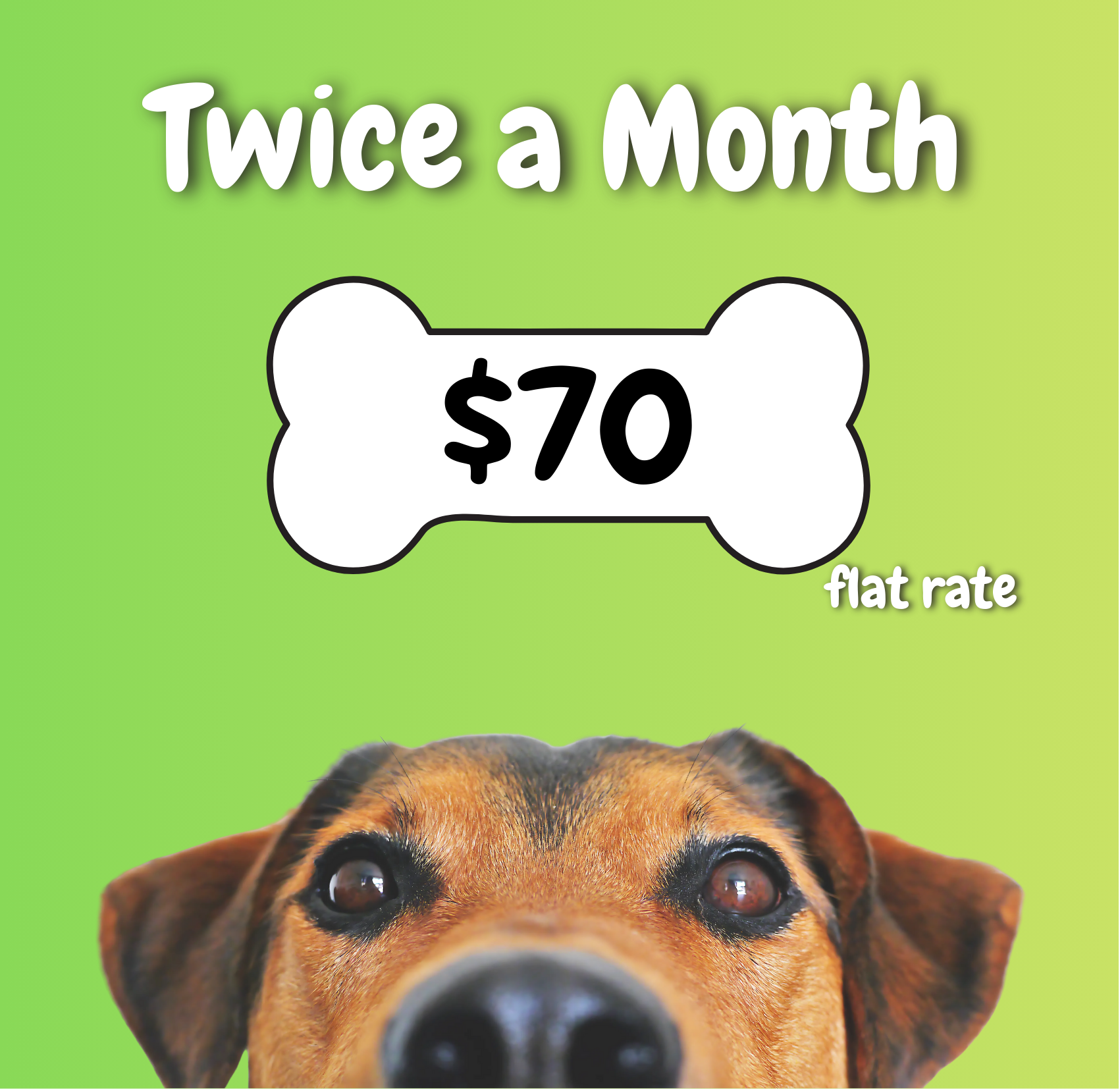 Copy of Untitled Design (7)