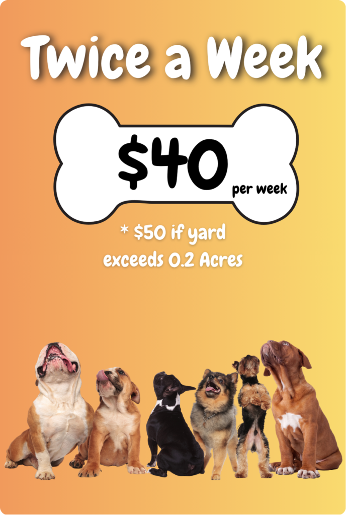 Affordable once a week dog waste cleanup service in New Jersey for $40 twice a week for residential backyards in Mercer and Burlington County, NJ.