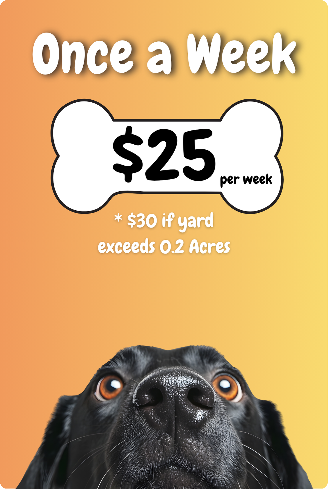 Affordable once a week dog waste cleanup service in New Jersey for $25 a week for residential backyards in Mercer and Burlington County, NJ.
