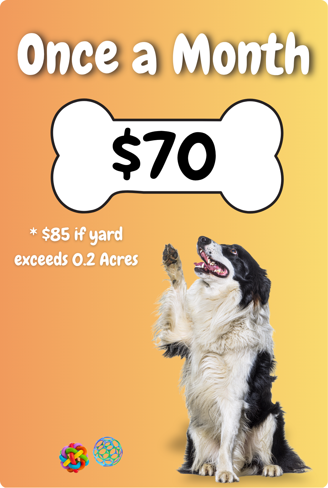 Affordable once a week dog waste cleanup service in New Jersey for $70 a month for residential backyards in Mercer and Burlington County, NJ.