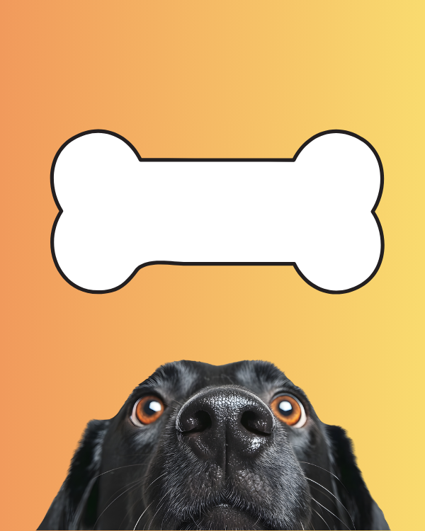 Poopy Pickup Weekly Dog Waste Removal Service