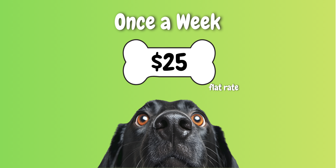 Copy of Copy of Untitled Design (1)